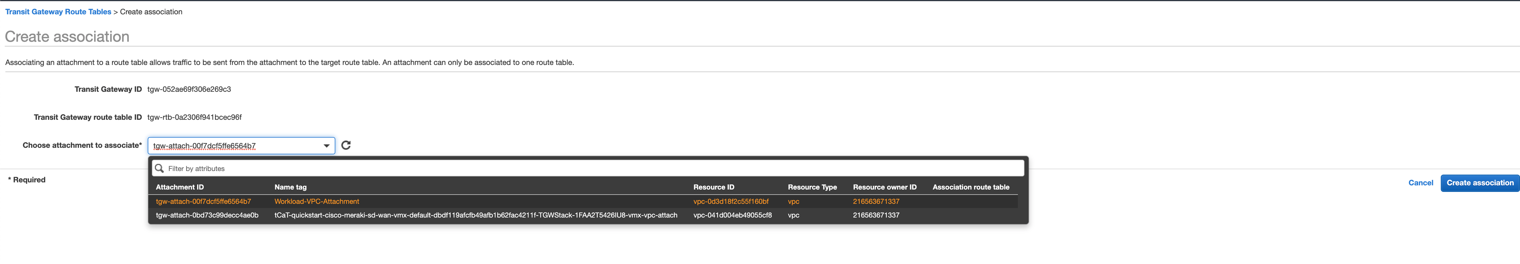 VMX Workload TGW RT Association