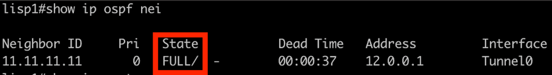 OSPF Neighbors